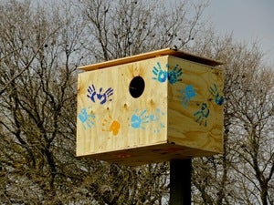 Image of Barn Owl Box Instructions