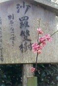 Image of kamakura