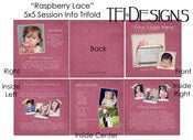 Image of "Raspberry Lace" Session Info Brochure - Trifold Card Template - Photoshop Templates for Photographe