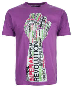 Image of Revolution