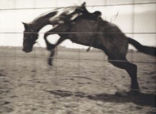 Image of Bygone Days