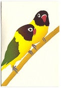 Image of Masked lovebirds