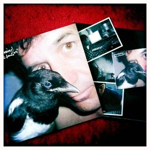 Image of glacier (of maine) "above and beside me" CD