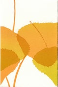 Image of Yellow leaves
