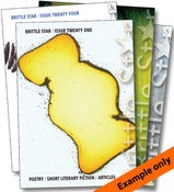 Image of 4 issue subscription (UK)