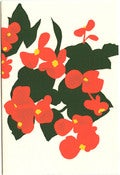 Image of Bagonias card