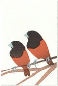 Image of Mannikins
