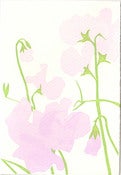 Image of Sweet peas