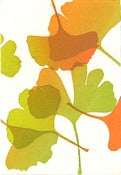 Image of Green and yellow leaves 