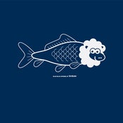 Image of Sheephead