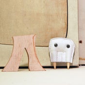 Image of PI