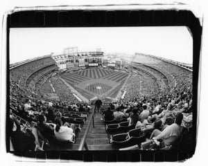 Image of Shea Stadium Photo 16x20