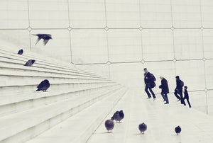 Image of Up and Down - II