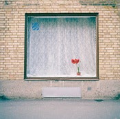 Image of Window
