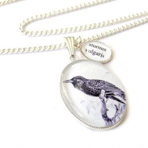 Image of The Starling Necklace