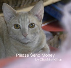 Image of Please Send Money by Cheshire Kitten