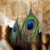 Image of Single Tier Peacock Feather Earrings