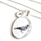 Image of P is for Pigeon Necklace