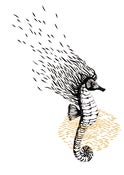 Image of T-Shirt Hippocampe