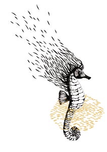 Image of T-Shirt Hippocampe