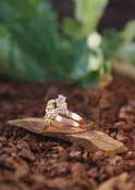 Image of Ausonia ring