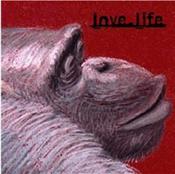 Image of lovelife CD comp now shipping!