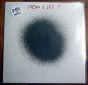 Image of birds of america 7 inch record