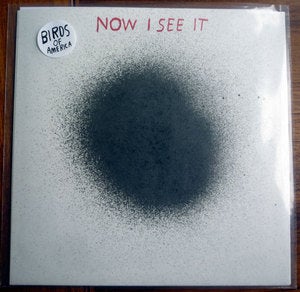 Image of birds of america 7 inch record