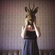 Image of Print - Deer