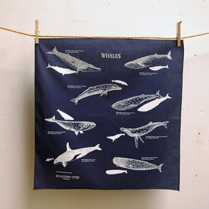 Image of whale bandana