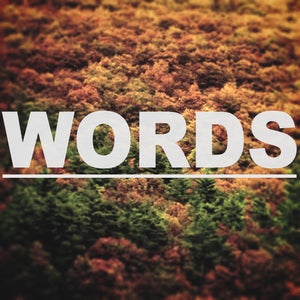 Image of Goldmund | "Words" (flac / mp3)