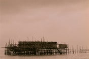 Image of Fish Farm