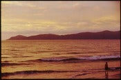 Image of Lonely Beach Walk
