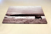 Image of Canvas Photo Print 24x16