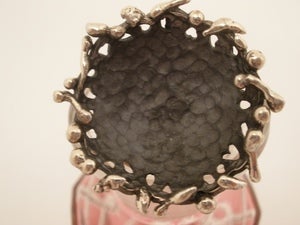 Image of Birds Nest View