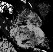 Image of IN HOC SIGNO VINCES FOUR WAY SPLIT CD
