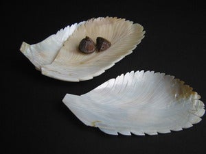 Image of Shell Dish