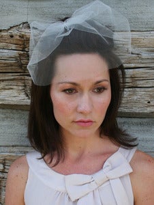 Image of Simple Birdcage bridal tulle veil 