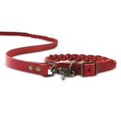 Image of BEST IN PARK Bedford Collar & Lead Set (Red) 