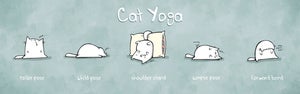 Image of Cat Yoga Print