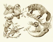 Image of In the Sand, In the Sun  {print}