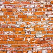 Image of Savvy Flooring {brick springfield}