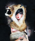 Image of The Lioness