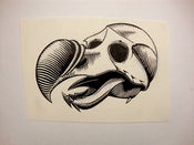 Image of Dodo Skull - Marc McKee