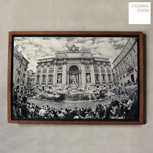 Image of tHE Frame + Sliver Print