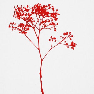 Image of Berry Canvas Print