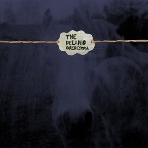 Image of THE DELANO ORCHESTRA - WILL ANYONE ELSE LEAVE ME