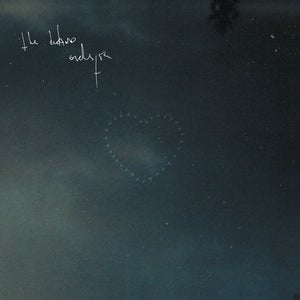 Image of THE DELANO ORCHESTRA - NOW THAT YOU ARE FREE MY BELOVED LOVE 