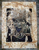 Image of Misled Youth