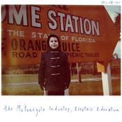 Image of The Motorcycle Industry- Electric Education LP 
